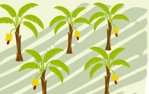 Die ersten beiden Sieger unseres ersten Ideenwettbewerbs stehen fest