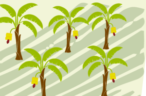 Los dos ganadores de nuestro primer concurso de ideas han sido nombrados