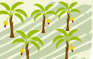 The first two winners of our first ideas competition have been named