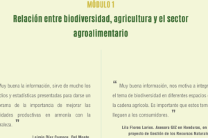 Web-Seminar on biodiversity in banana and pineapple cultivation