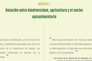 Web-Seminar zu Biodiversität im Anbau von Bananen und Ananas