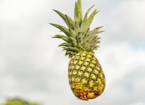 Nicofrutta: 20 años de productos frescos y responsables