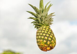 Nicofrutta: Zwanzig Jahre frische und verantwortungsvoll angebaute Produkte