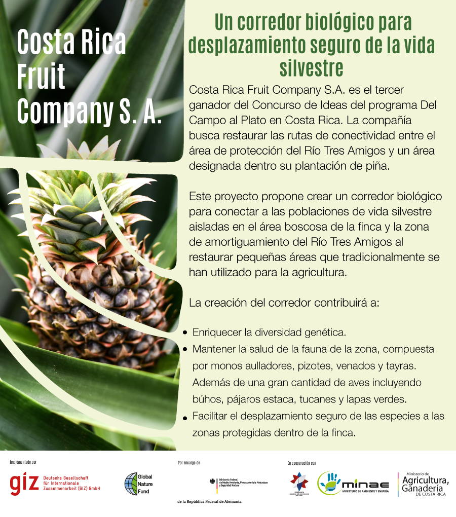 Costa Rica Fruit Company - Del Campo al Plato