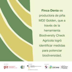 Biodiversity Check Agricola: Finca Denia