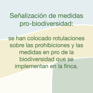 Medidas Plantac Finca Denia 02